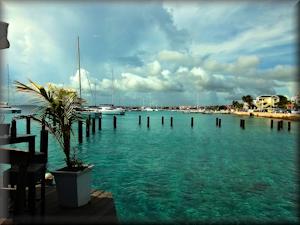 Bonaire harbour