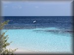 reef access point and sign