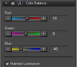 Olympus - colour balance scales