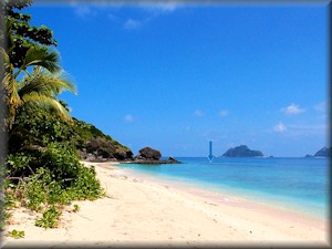 the Northern beach with best coral point highlighted